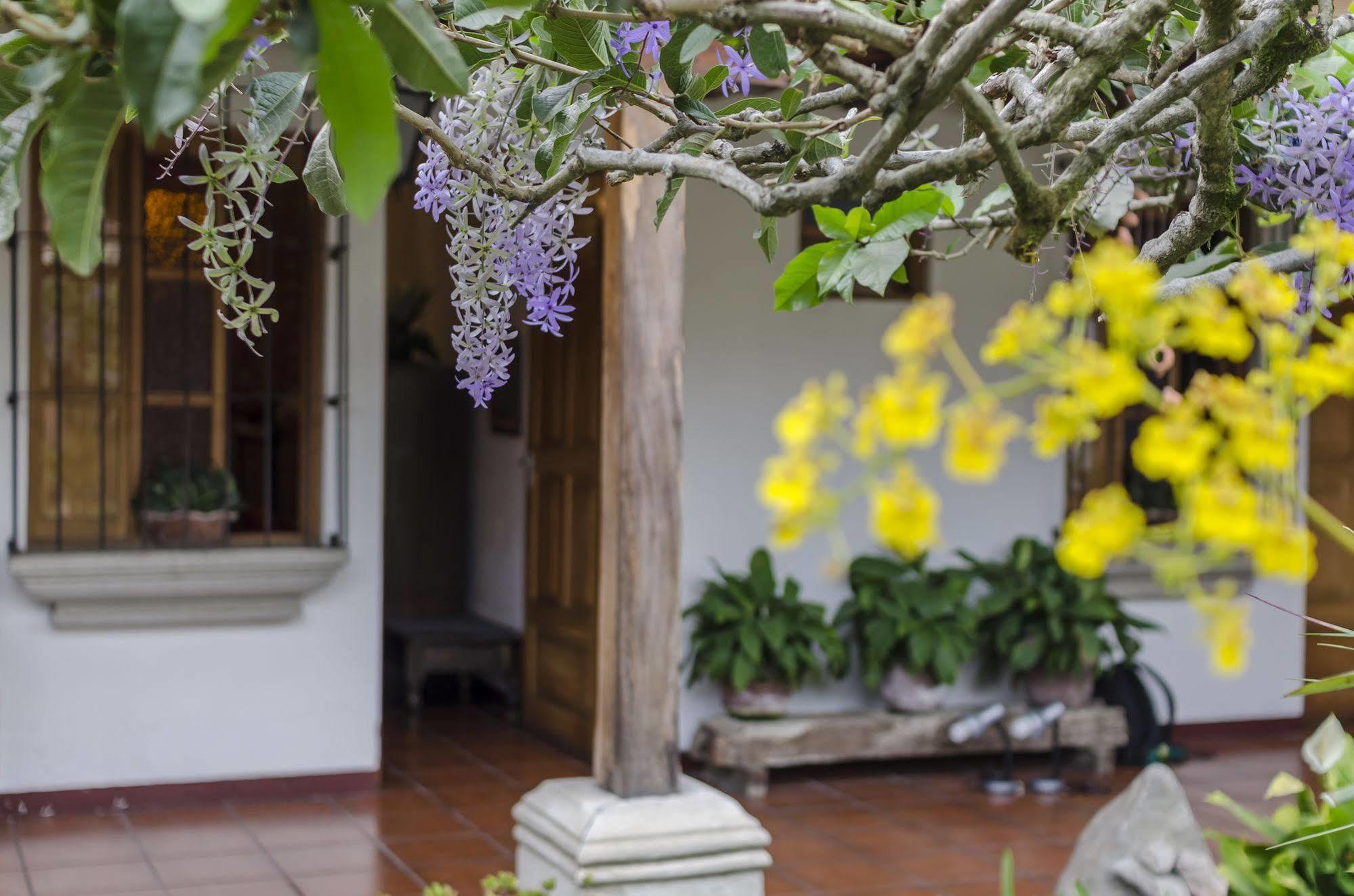 Hostal San Nicolas Antigua Exterior foto